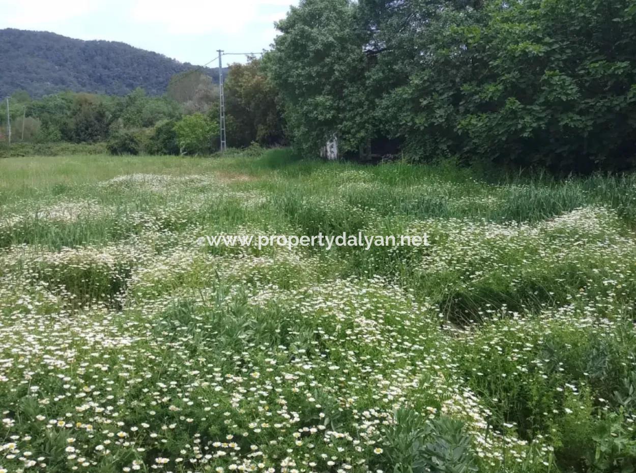 Land For Sale In Çamlida