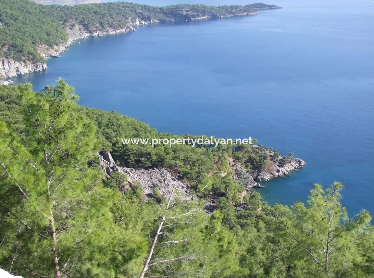 Real Estate Bargain Plot For Sale With Sea Views In Çandır Call In Ekincik