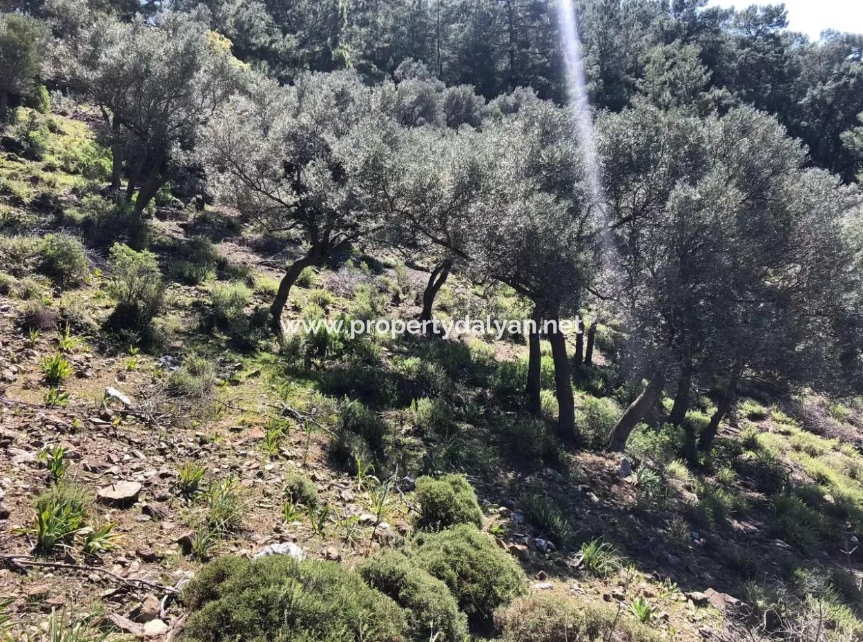 Land For Sale With Sea View In Çandir