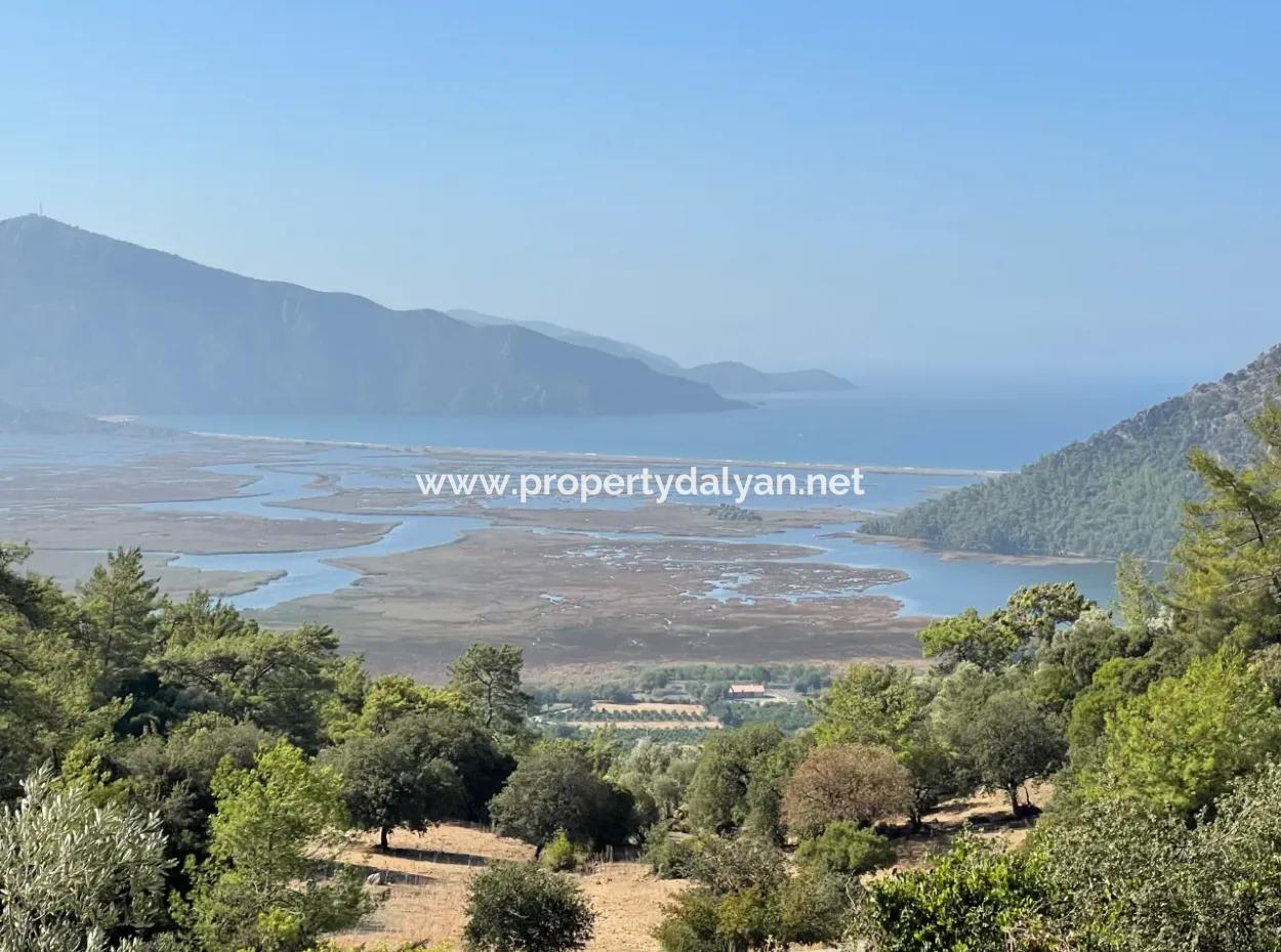 2620M2 Land Field For Sale With Sea View Of Çandir