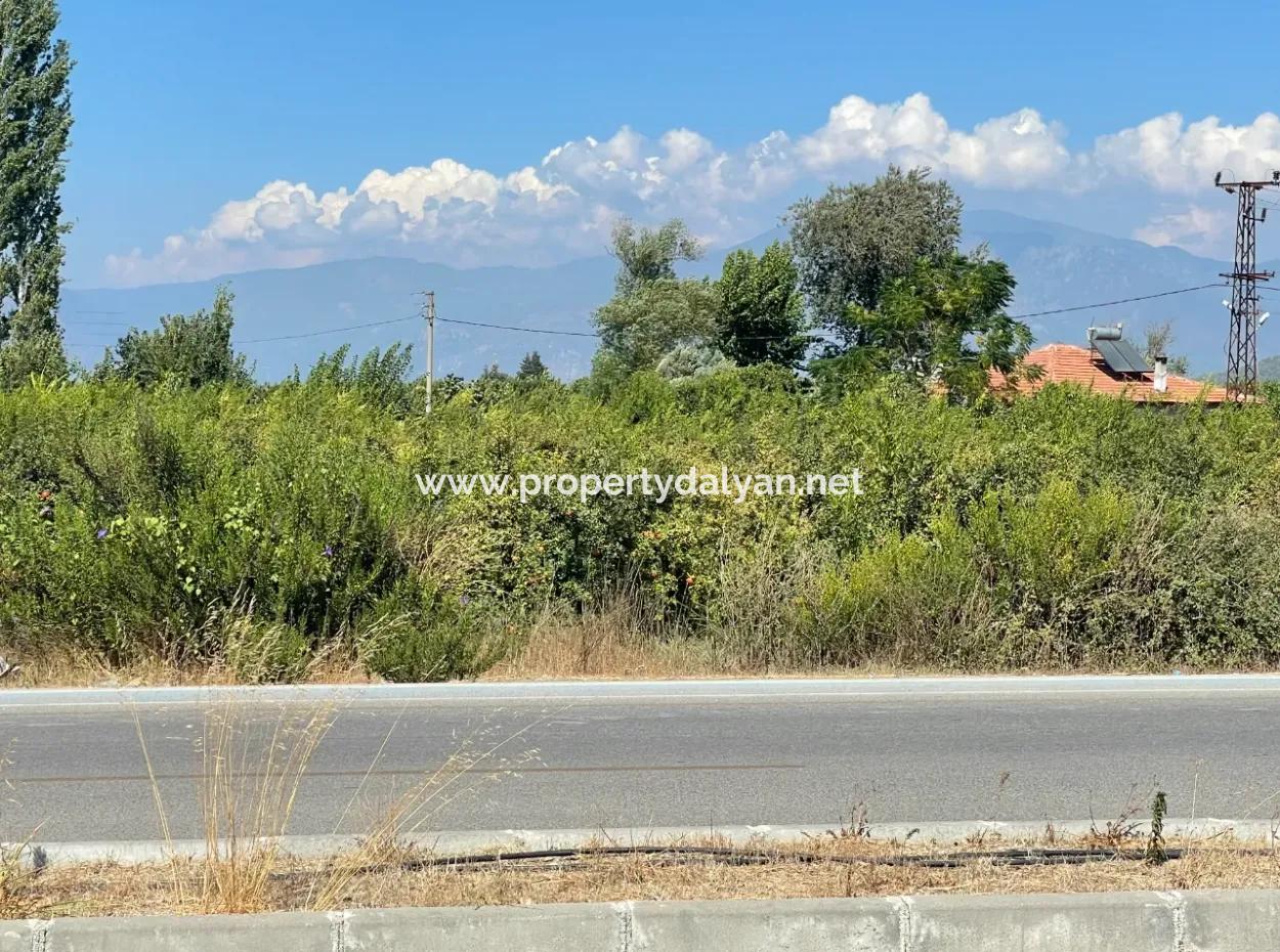 Dalyan Main Road Zero Land For Sale 8115M2 Commercial Land For Sale