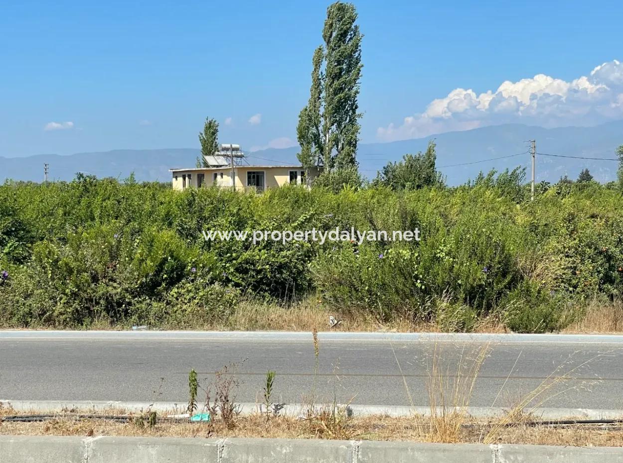 Dalyan Main Road Zero Land For Sale 8115M2 Commercial Land For Sale