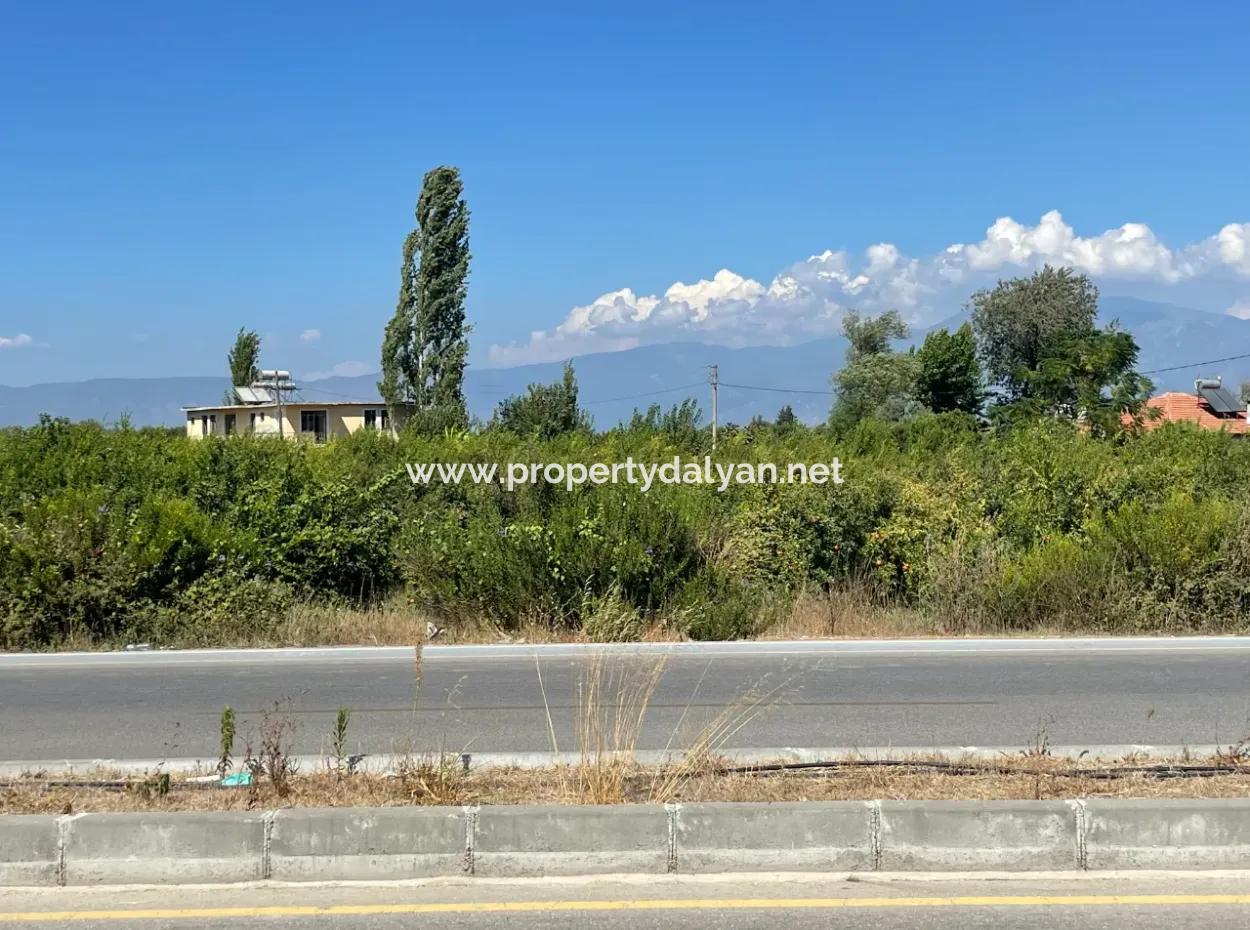 Dalyan Main Road Zero Land For Sale 8115M2 Commercial Land For Sale
