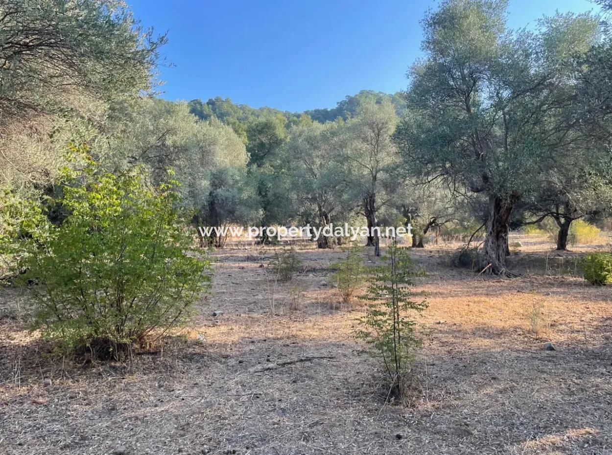 Çandir 3,800M2 Land For Sale