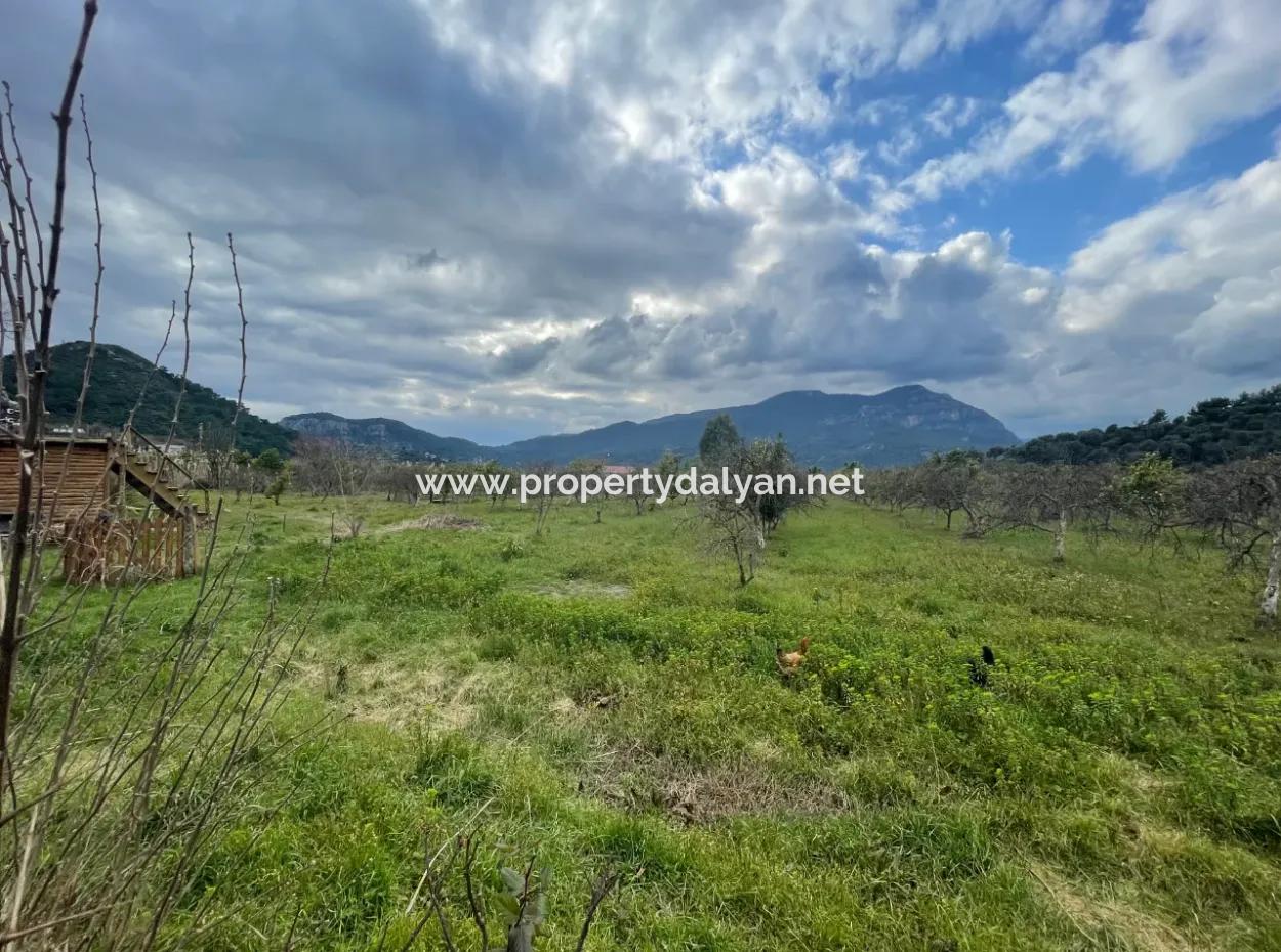 Dalyan Boutique Hotel For Sale Bungolevler For Sale In 11.000M2 Plot