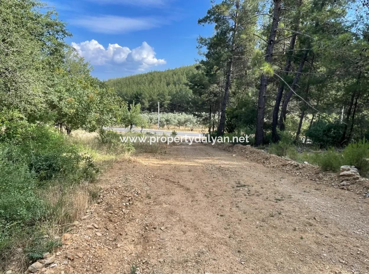 Land For Sale In Ula Armutchuk With 501M2 Zoning