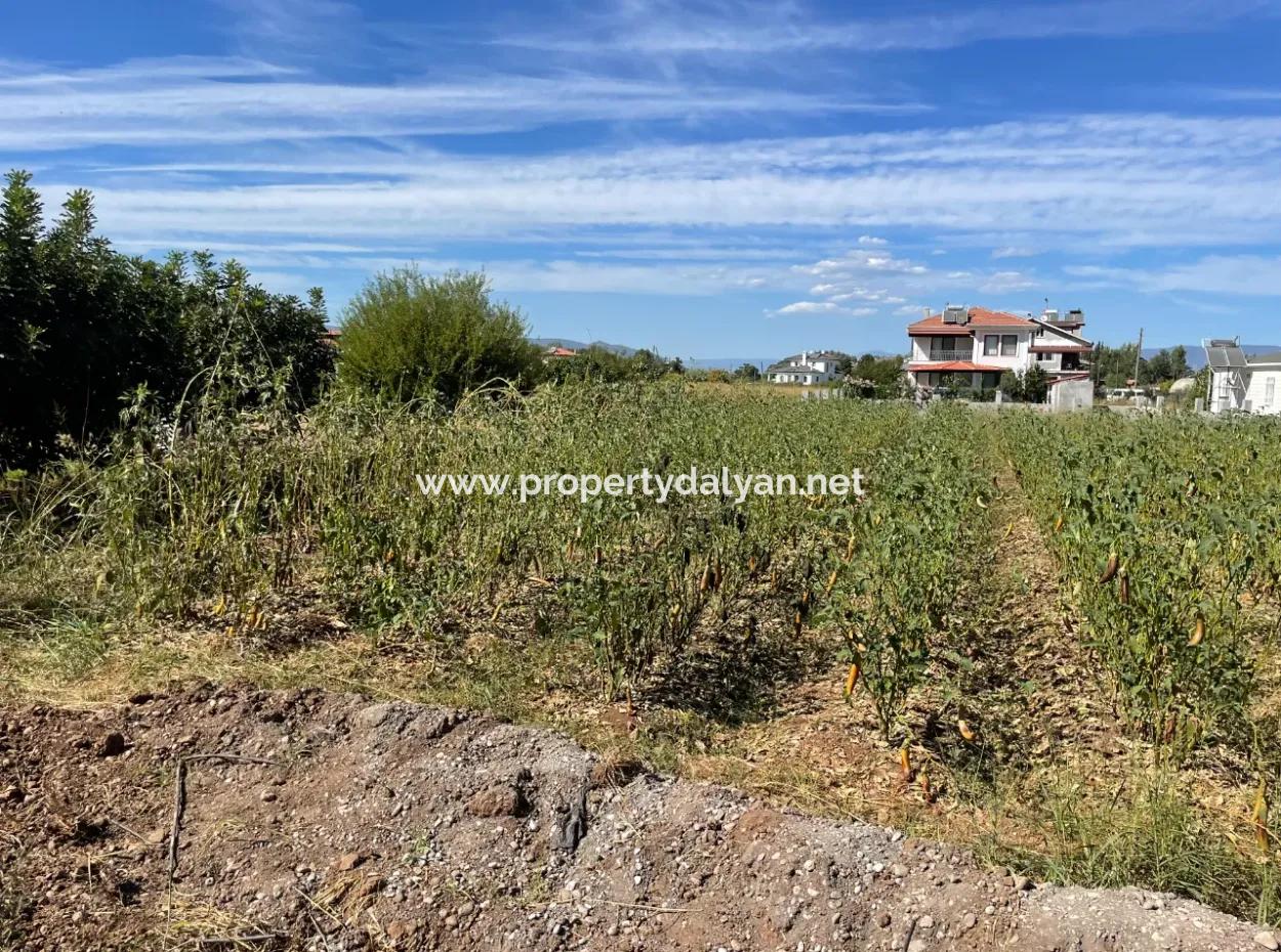 506 504M2 Side By Side 1010M2 Land For Sale In Archers