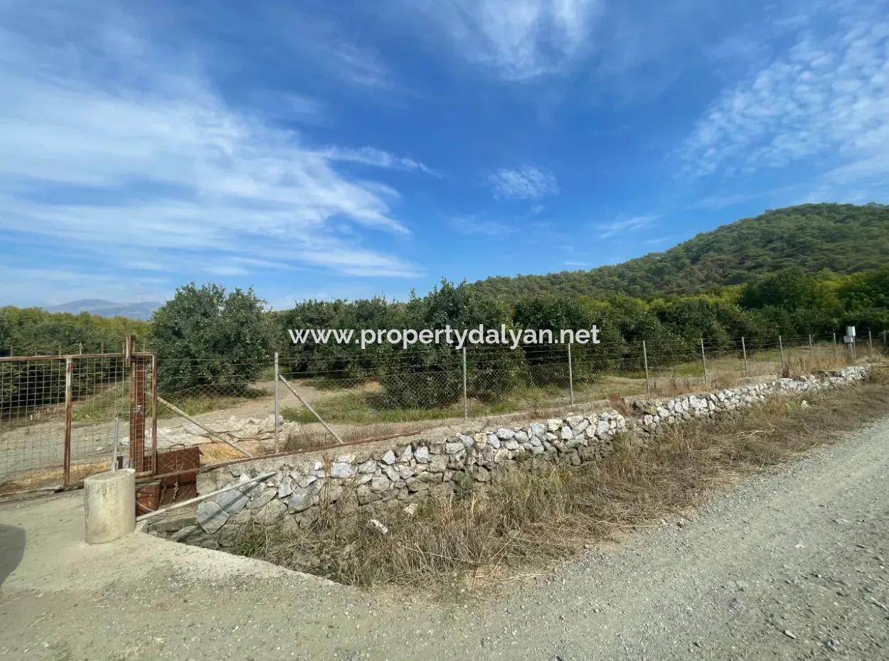 4000M2 Land For Sale Zoned In Village Built-Up Area In Tepearasin