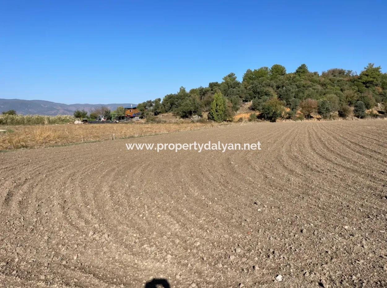 6254M2 Field For Sale Near Dalyan In Eskiköy