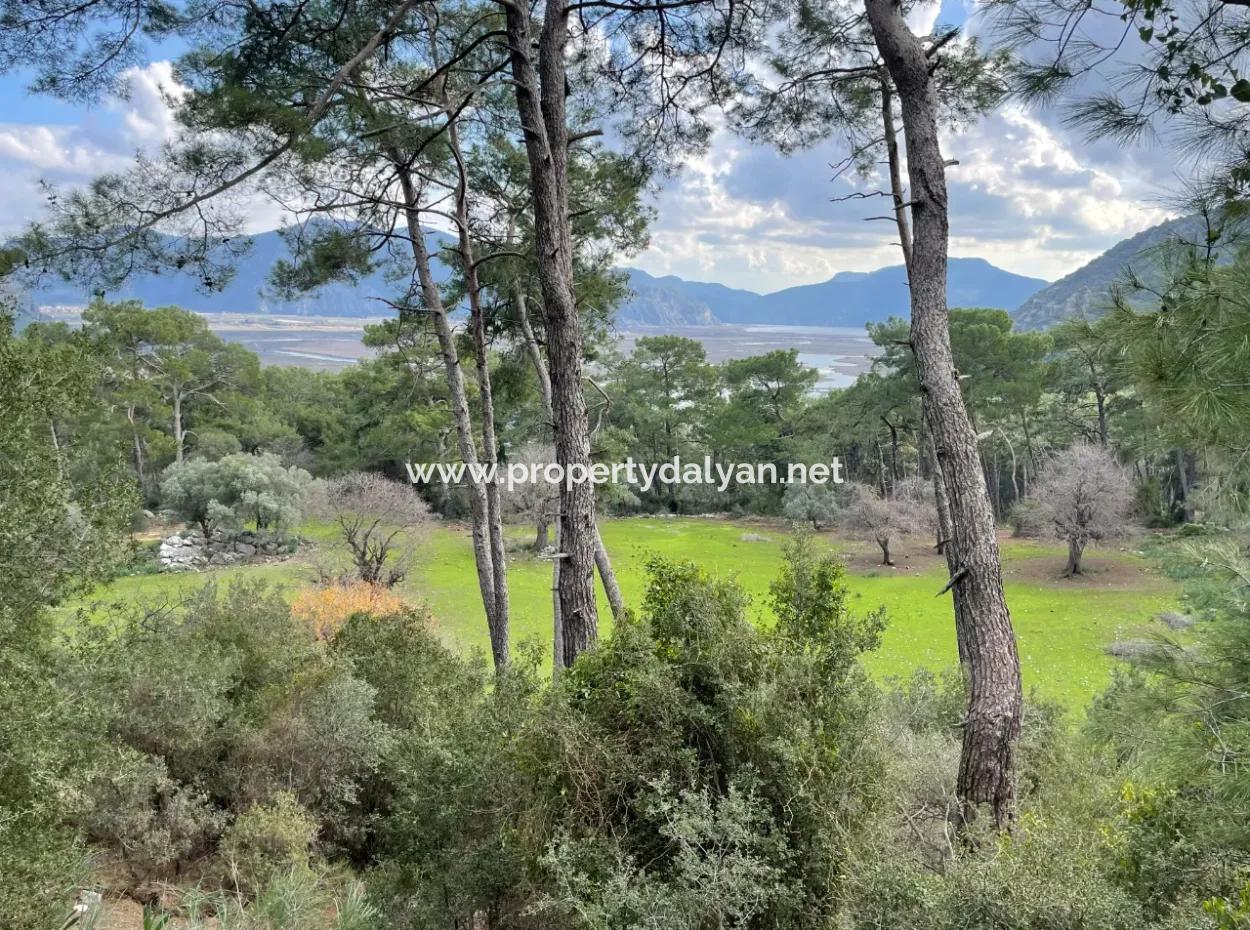 10,707M2 2B Field For Sale With Sea Lake View In Çandır