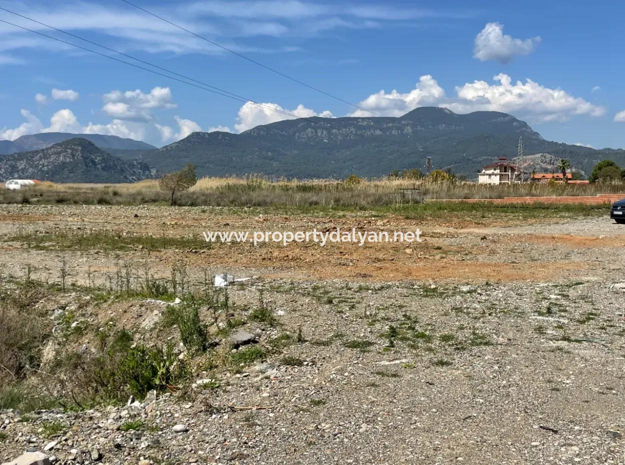 Dalyan Iztuzu Beach Road Zero 19,600M2 Field Land For Sale