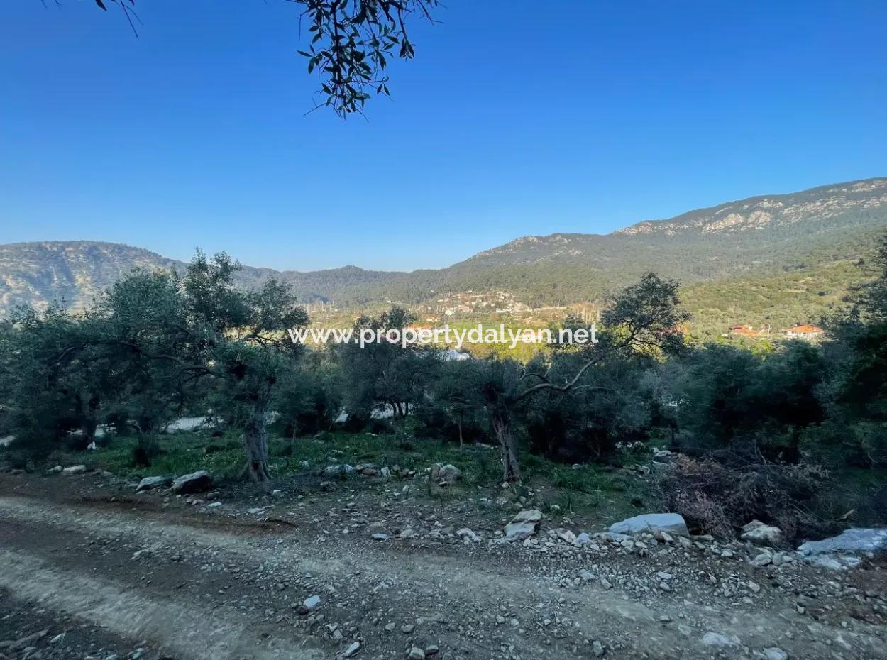 Çandır Lake Sea View 2,806M2 2B Field For Sale