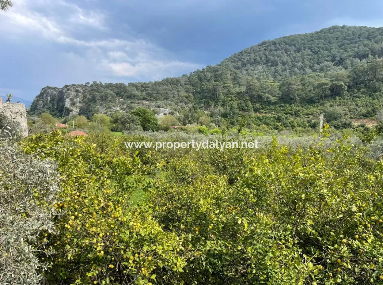 5000M2 Field For Sale At The Beginning Of The Road In Çandır