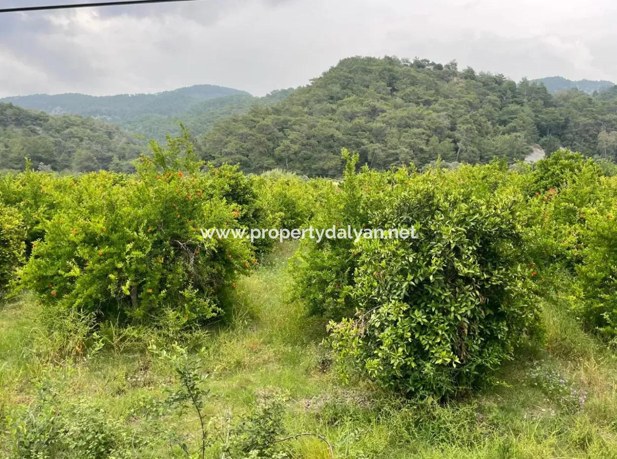 Gökbelde 14,000M2 Field For Sale