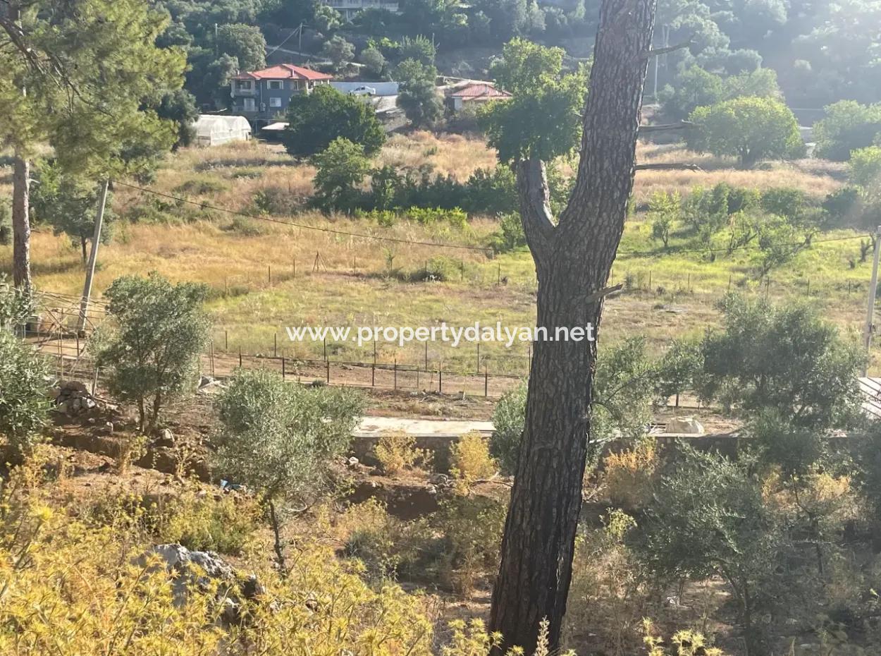 1,320M2 Field For Sale In Çandır Center By The Forest