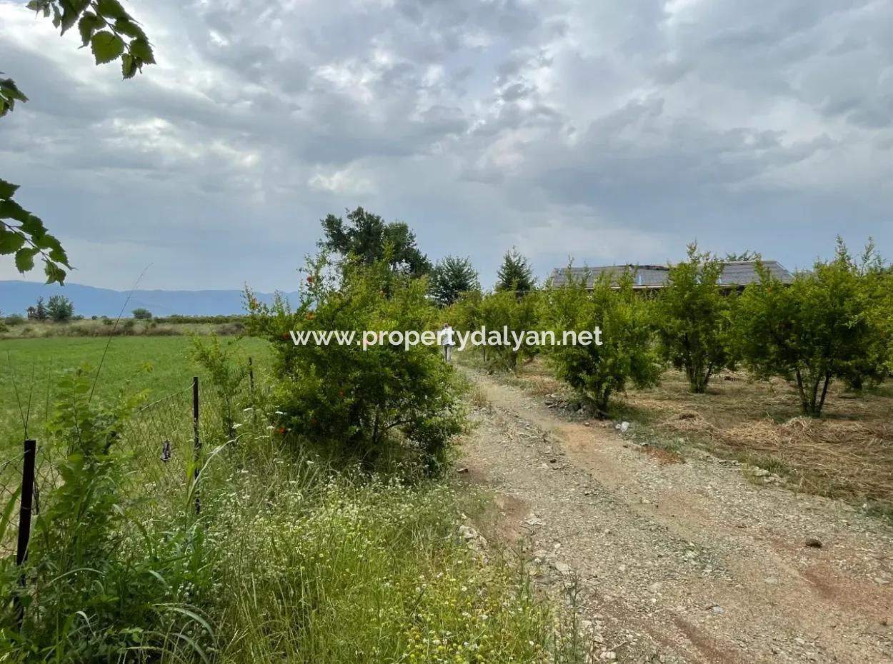 2,528M2 Field For Sale Near The Center Of Dalyan