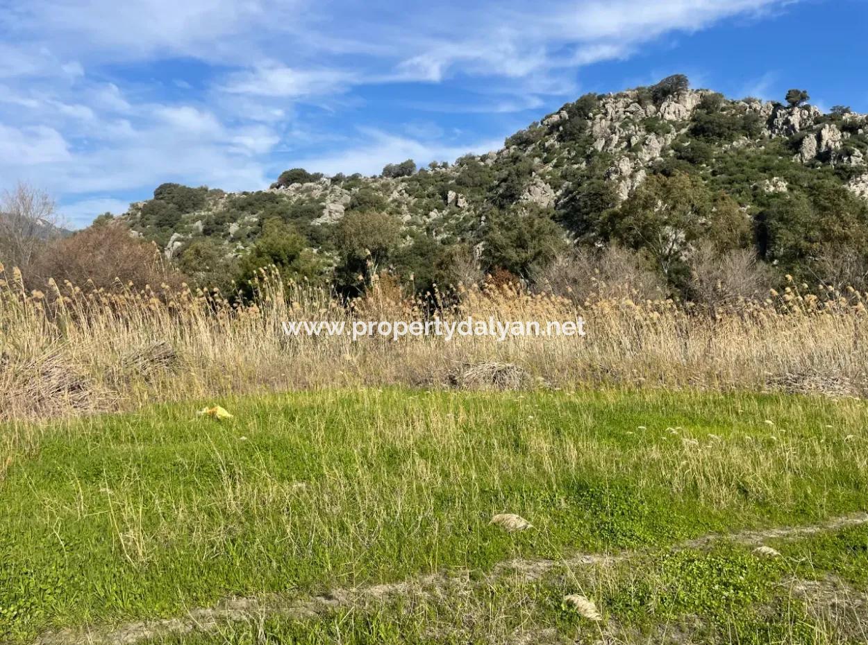 6800 M2 Land For Sale In Dalyan With 5% Residential Zoning