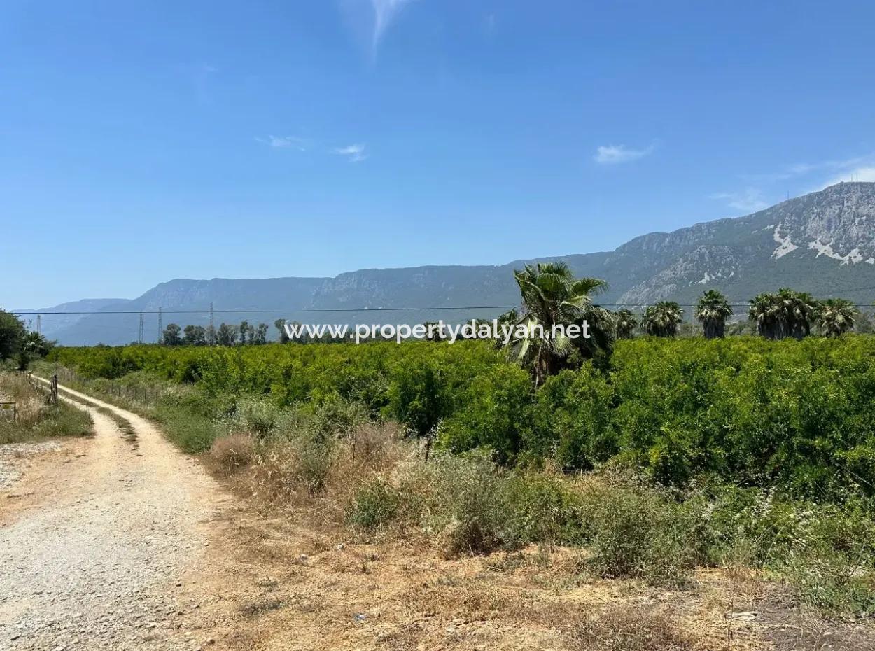 13,500M2 Roadfront Field For Sale In Akyaka Akçapınar