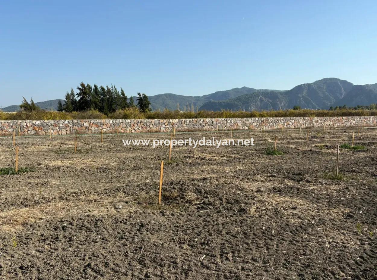 19.663M2 Farm Land And House For Sale In Eskiköy