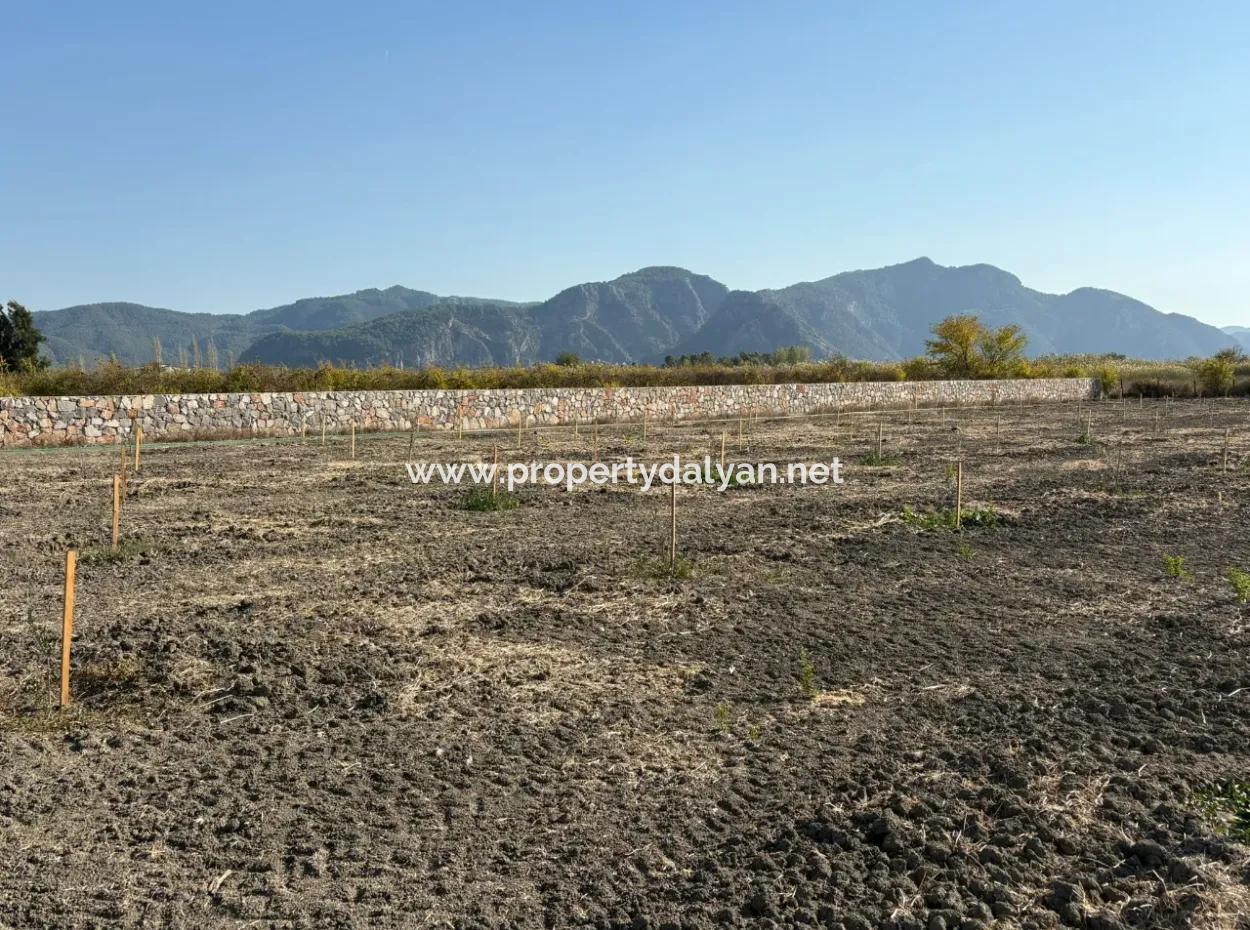 19.663M2 Farm Land And House For Sale In Eskiköy