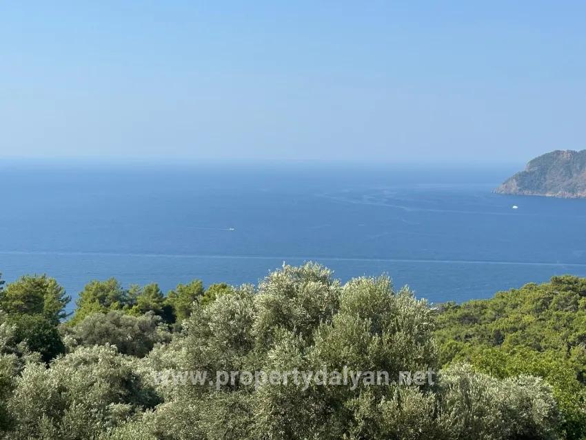 Для продажи Поле в Çandır Köyceğiz - Под Поле застройку - 21.000 m²
