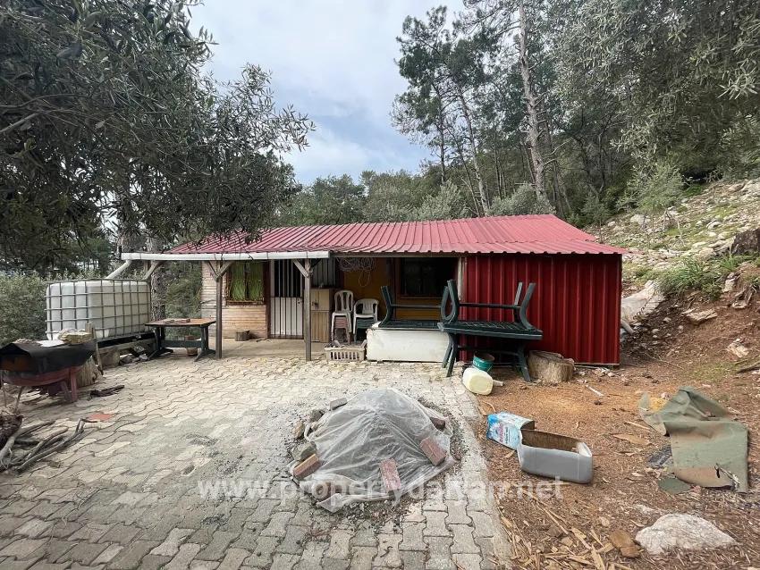 Для продажи Поле в Ekincik Köyceğiz - Под Оливковая роща застройку - 7.000 m²