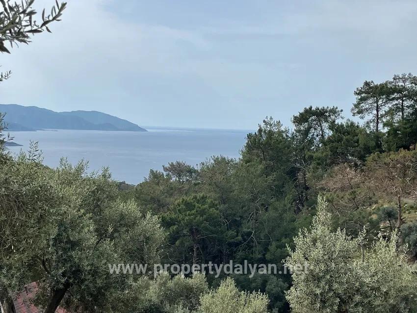 Для продажи Поле в Ekincik Köyceğiz - Под Оливковая роща застройку - 7.000 m²