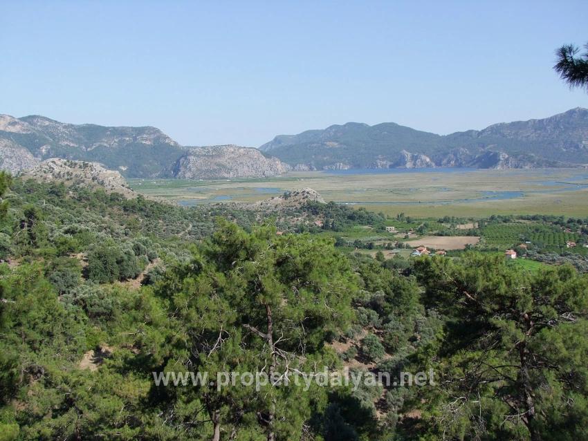 Продается Земельный Участок Площадью 19 334 М² В Чандыре, Кёйджегиз.