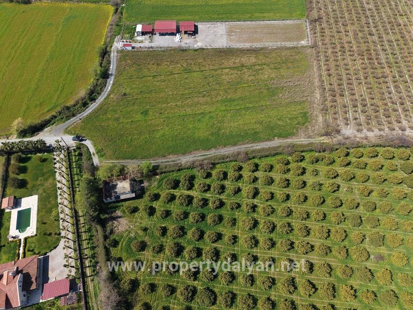 Виноградник Бахче Площадью 17.550 М2 На Продажу Недалеко От Центра Дальяна
