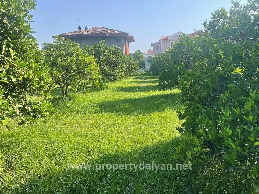 Земля 722м2 На Продажу В Дальян Гюльпынар
