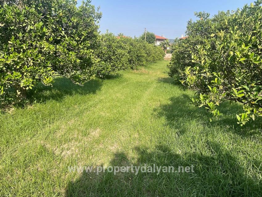 Земля 722м2 На Продажу В Дальян Гюльпынар