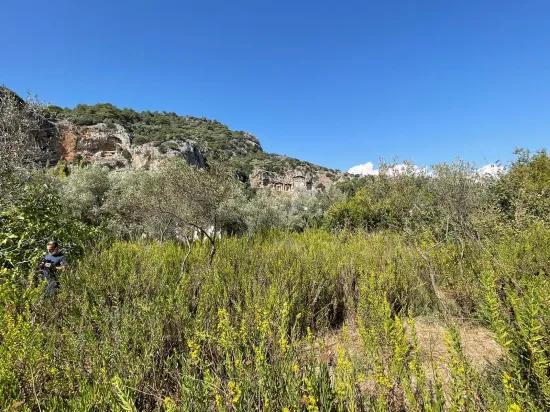 Продается Отдельно Стоящий Дом Площадью 2765 М² В Чандыре, Прямо Рядом С Каналом.