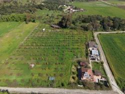 Для продажи Общежитие в Eskiköy Ortaca - 11.000 m²