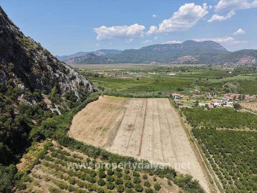 Ortaca Dalyan Mah. Satılık Tarla - Tarla İmar Durumlu - 20.786 m²