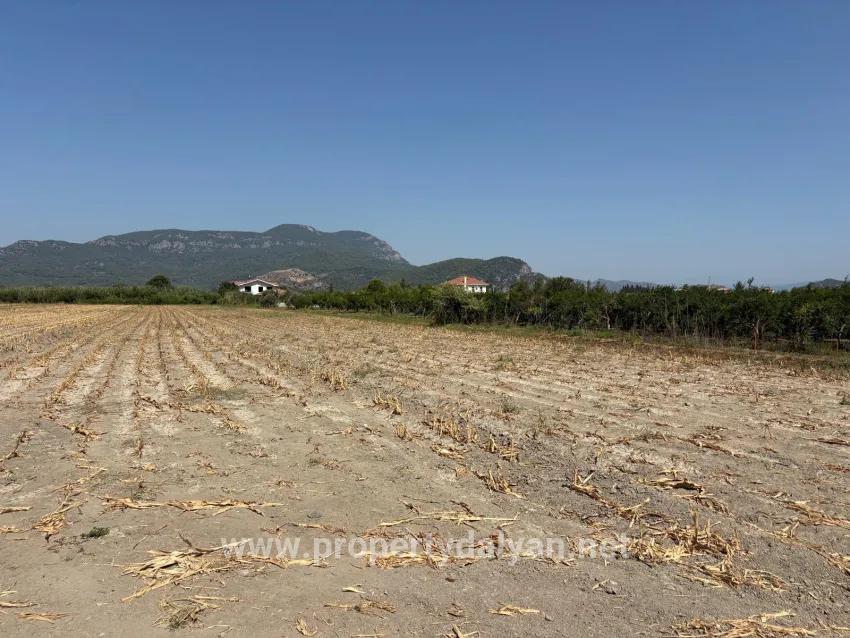 Ortaca Dalyan Mah. Satılık Tarla - Tarla İmar Durumlu - 20.786 m²
