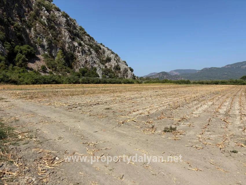 Ortaca Dalyan Mah. Satılık Tarla - Tarla İmar Durumlu - 20.786 m²