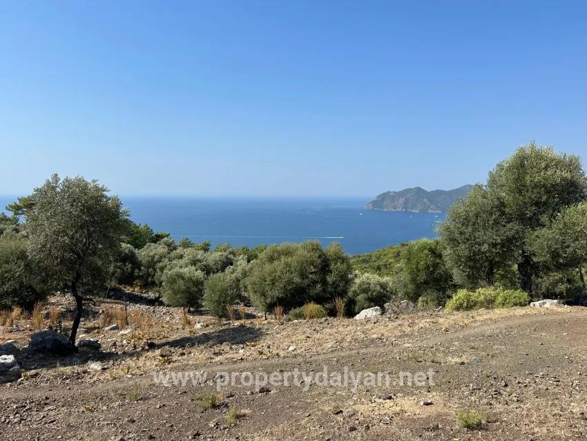 Köyceğiz Çandır Mah. Satılık Tarla - Tarla İmar Durumlu - 21.000 m²