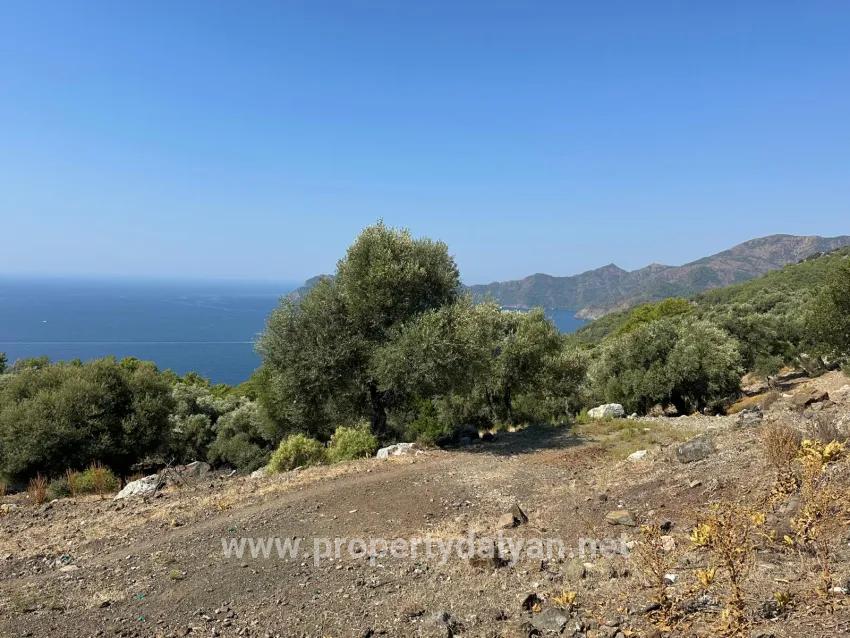 Köyceğiz Çandır Mah. Satılık Tarla - Tarla İmar Durumlu - 21.000 m²