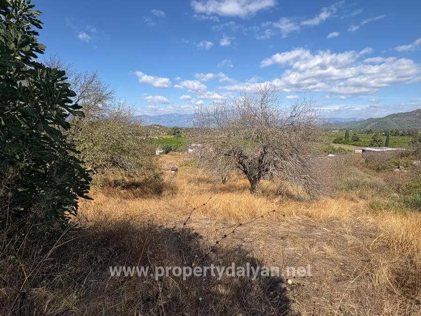 Ortaca Dalyan Mah. Satılık Tarla - Tarla İmar Durumlu - 5.000 m²
