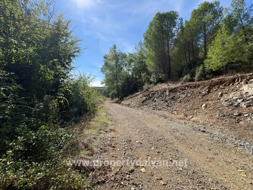 Köyceğiz Zeytinalanı Mah. Satılık Tarla - Tarla İmar Durumlu - 10.500 m²
