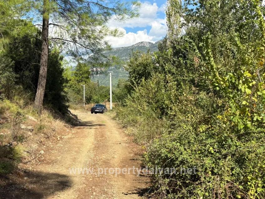 Köyceğiz Zeytinalanı Mah. Satılık Tarla - Tarla İmar Durumlu - 10.500 m²