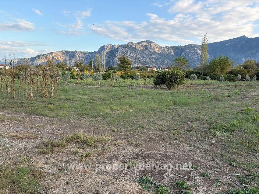 Dalyan'da 7.450m2 %5 İmarlı Satılık Arsa