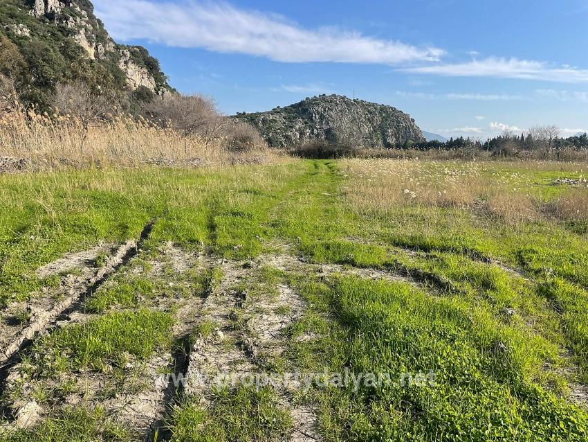 Dalyan'da 6800 M2 %5 Konut İmarlı Satılık Arsa