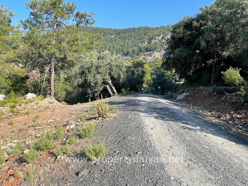 Ekincik Çandır Arasın'da Deniz Manzaralı Kelepir Emlak Satılık Arsa