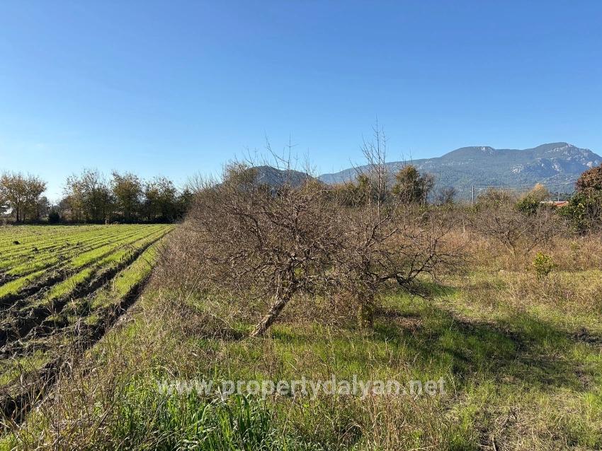 Dalyan'da 4.541m2 Satılık Bahçe