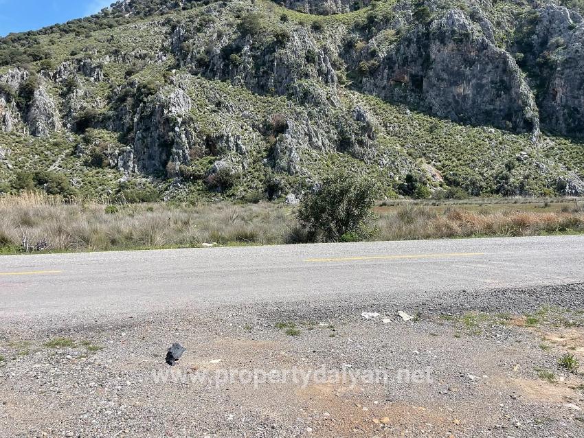 Dalyan İztuzu Plaj Yoluna Sıfır 19.600m2 Satılık Tarla