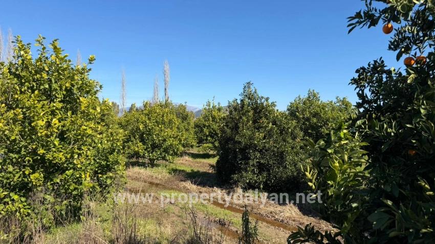 Okçular Marmarlı'da 2.218m2 Satılık Arsa
