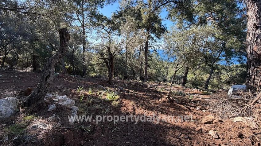 Çandır'da Full Deniz Manzaralı 5715m2 Satılık 2b Tarla