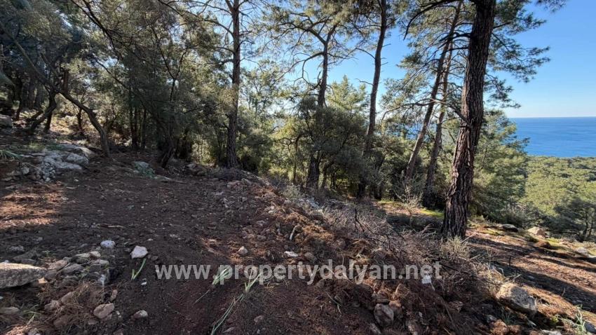 Köyceğiz Çandır Mah. Satılık Tarla - Konut İmar Durumlu - 5.715 m²