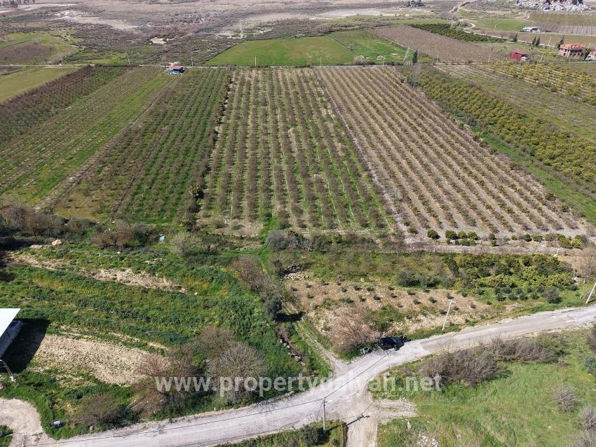 Eskiköy'de Göl Manzaralı 16.710m2 Satılık Nar Bahçesi